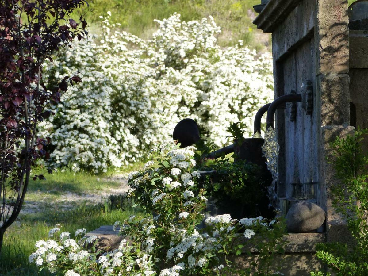 Pigeonnier Des Banons Bed & Breakfast Puimoisson Eksteriør bilde